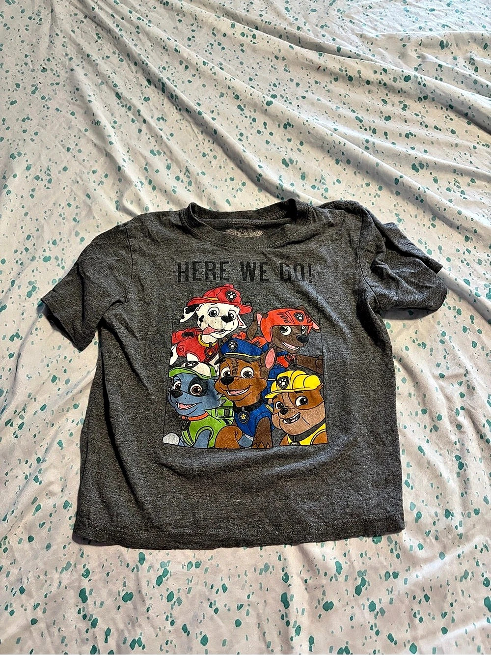 Paw Patrol Graphic Tee Boys Size 4T Gray